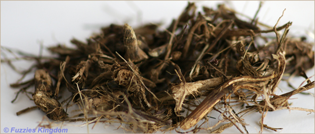 Echinacea root whole