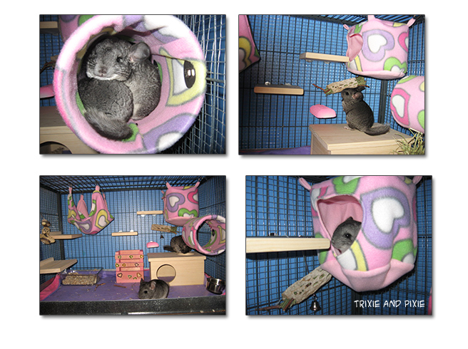 chinchillas, fleece house, fleece tunnel